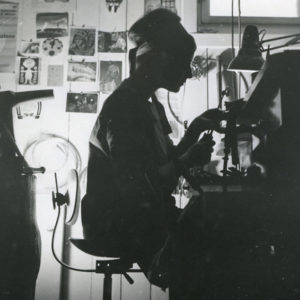 Tone Vigeland