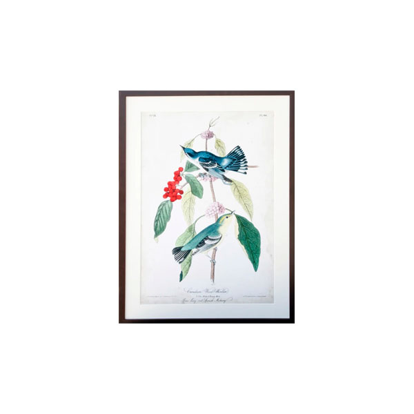 Wood Warbler 50x70 fra Taberna