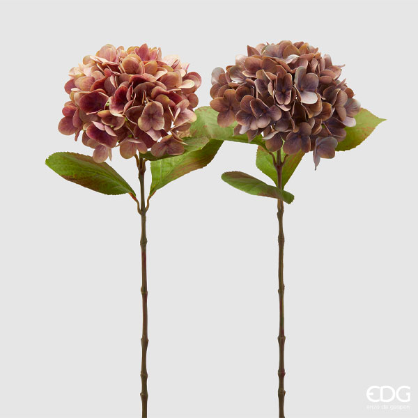 Hortensia i lilla/rosa fra EDG