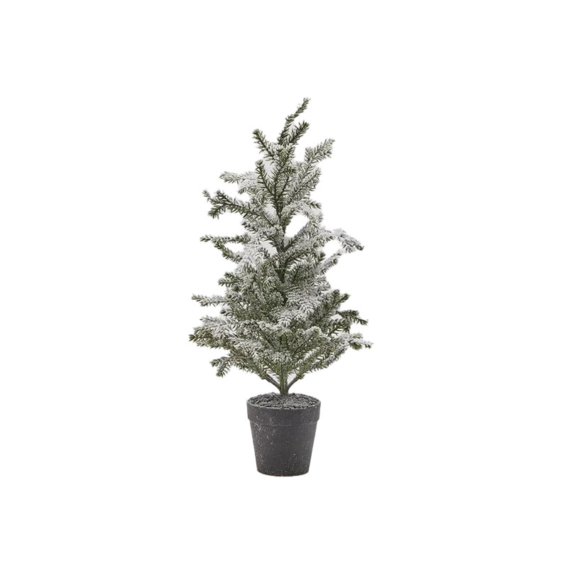 furutre med snødekor fra edg