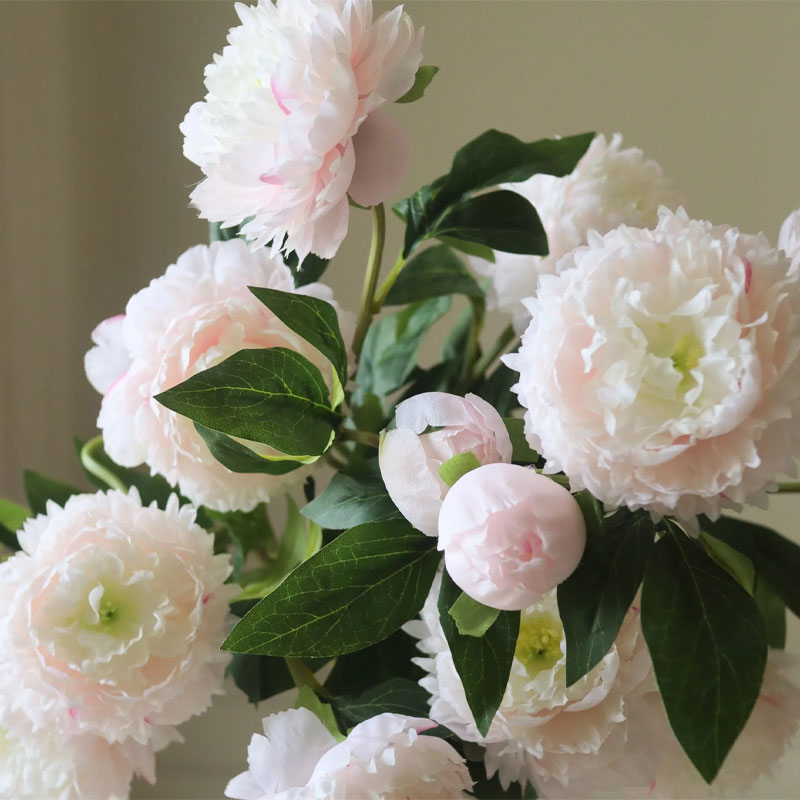 peony light pink blomsterbukett fra botane