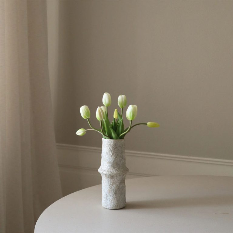 hvite tulpaner fra botane