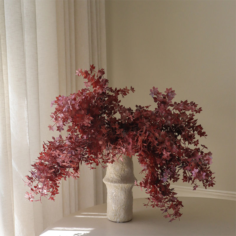burgundy maple branch bukett fra botane