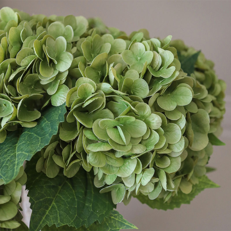Moss green hydrangea bukett fra botane
