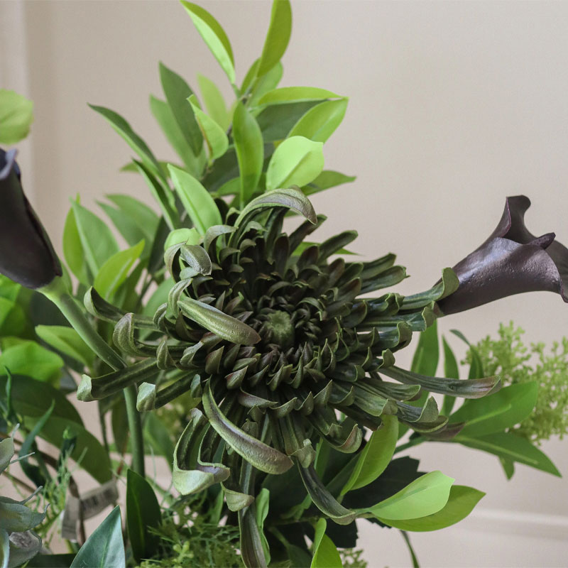 Verdant noir bukett fra botane