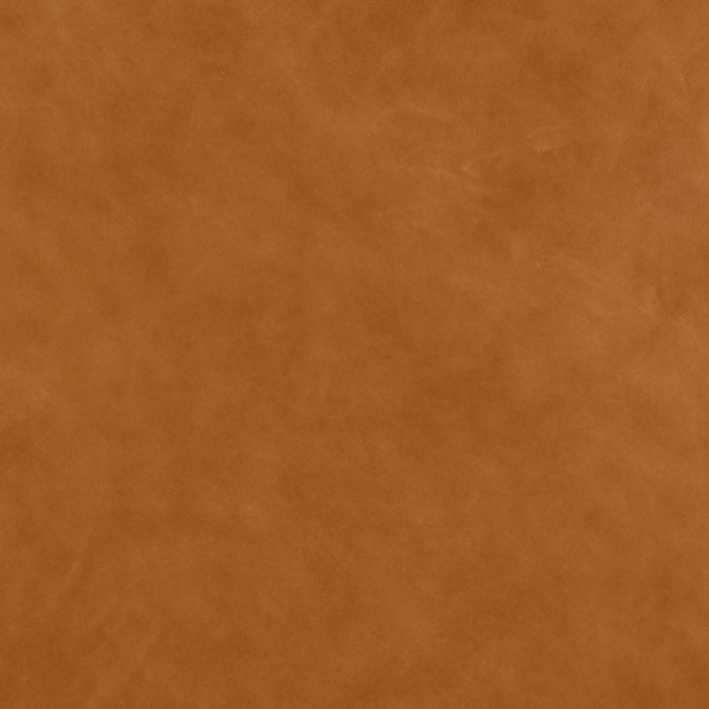 vintage cognac skinn