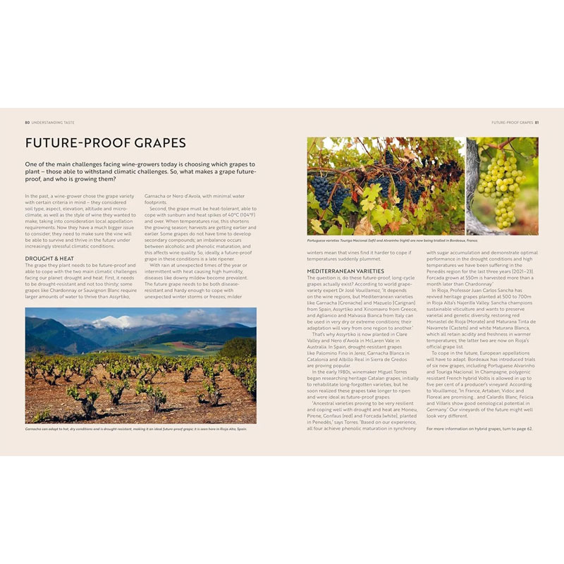 A taste for wine coffee table book fra new mags