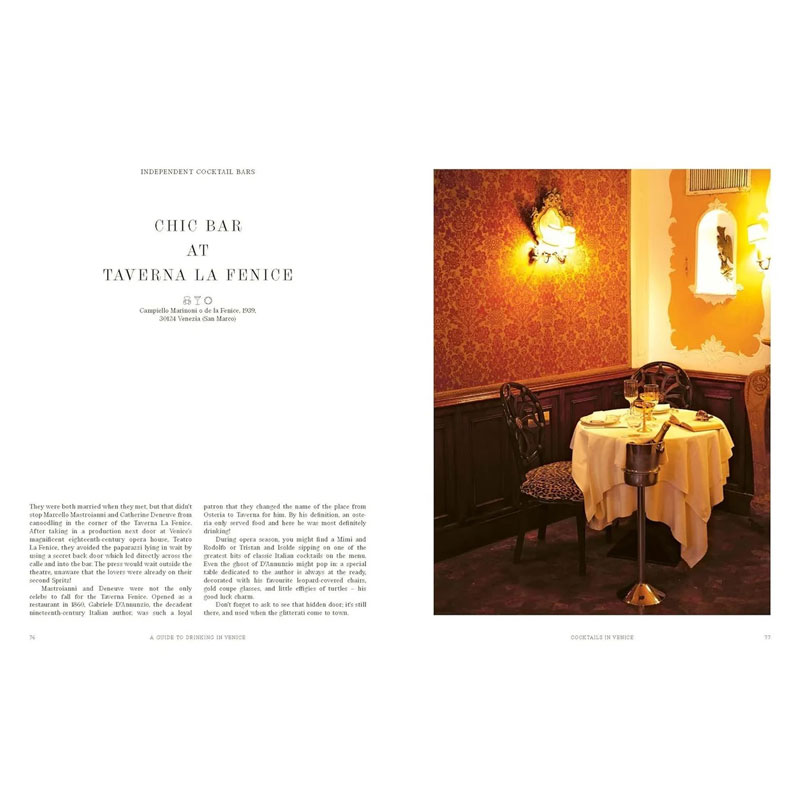 A guid to drinking in Venice coffee table book fra new mags