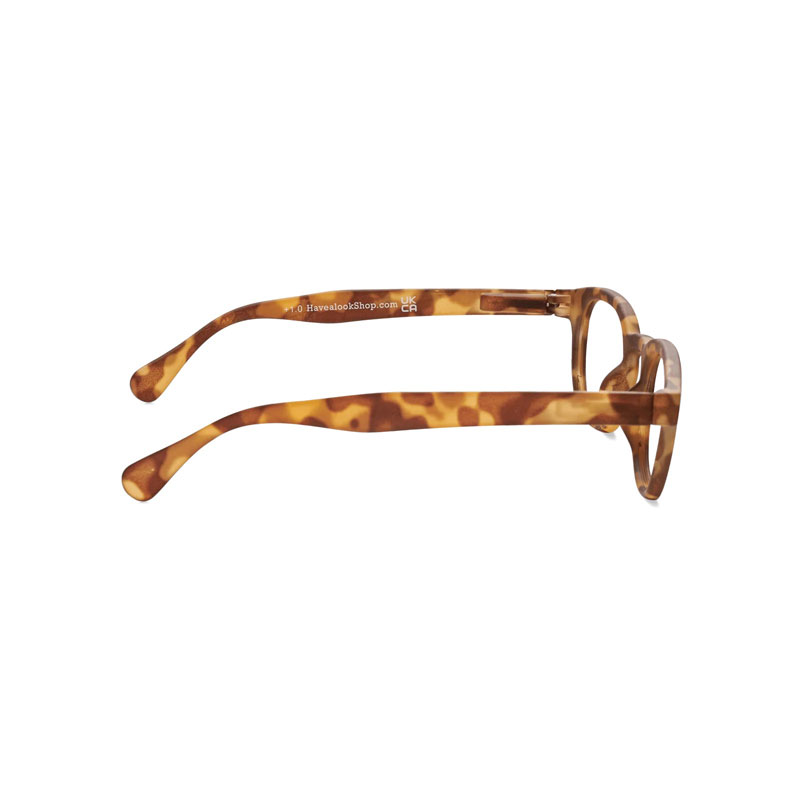 Type C Tortoise brille fra have a look