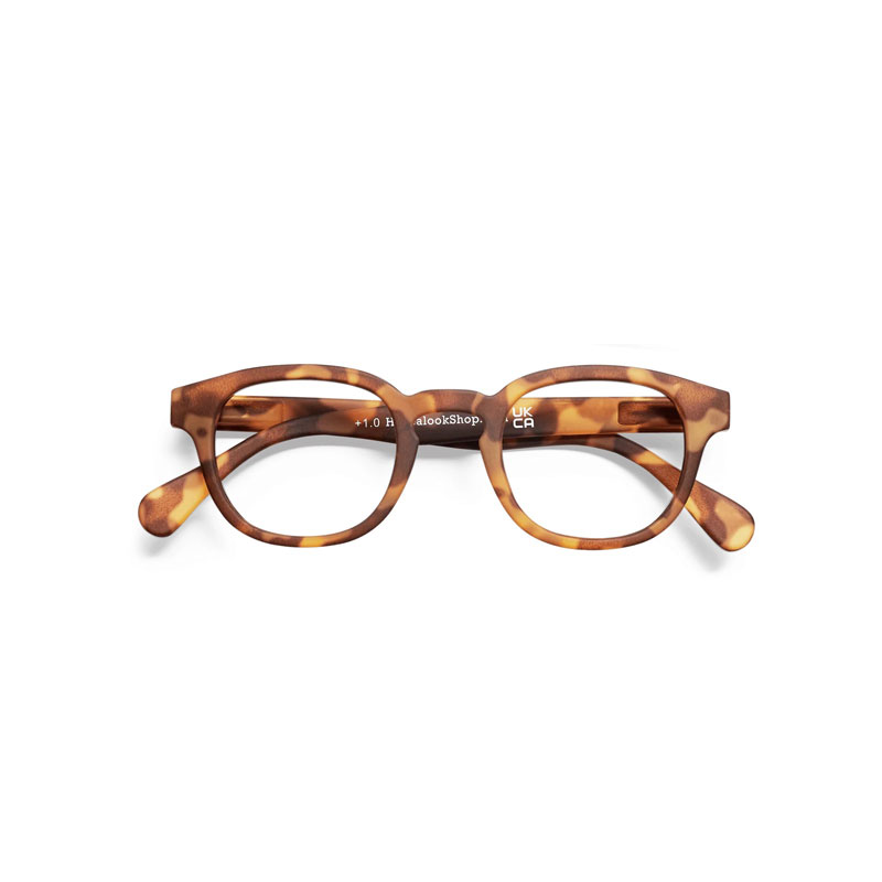 Type C Tortoise brille fra have a look