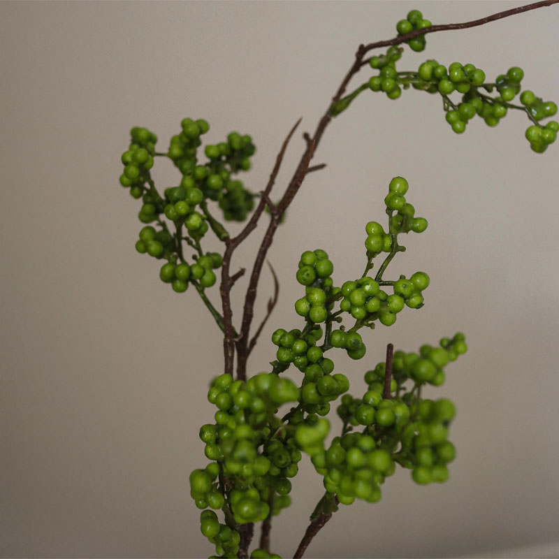 wild berry I dark green fra botane